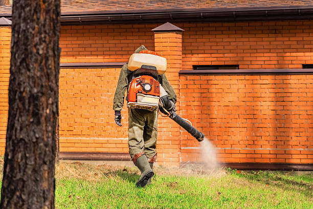 Bed Bug Clearance Verification and Documentation in West Carrollton